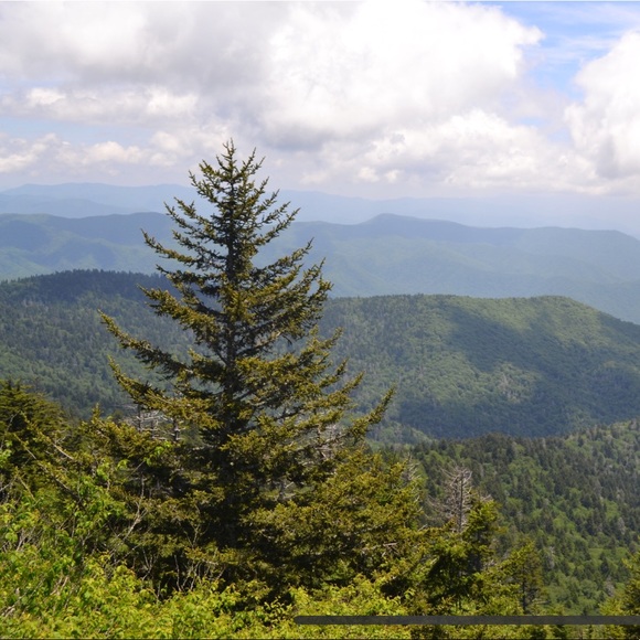 Meet your Posher, Beth - Picture 2 of 2